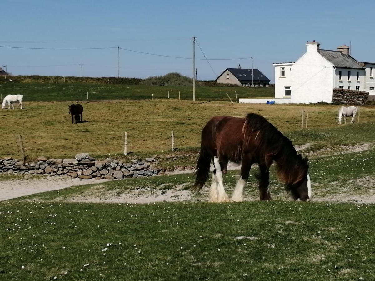 Home Comforts Castleisland Extérieur photo