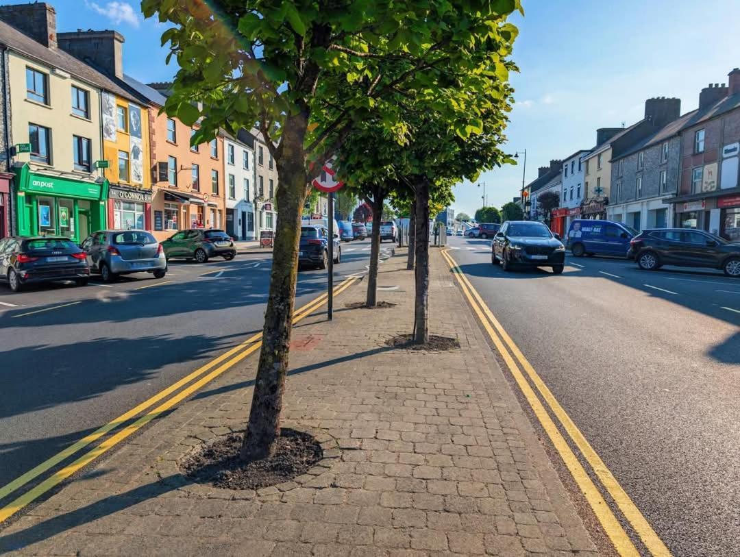 Home Comforts Castleisland Extérieur photo